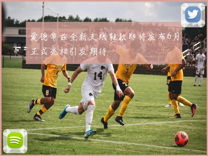 爱德华兹全新支线鞋款即将发布6月正式亮相引发期待