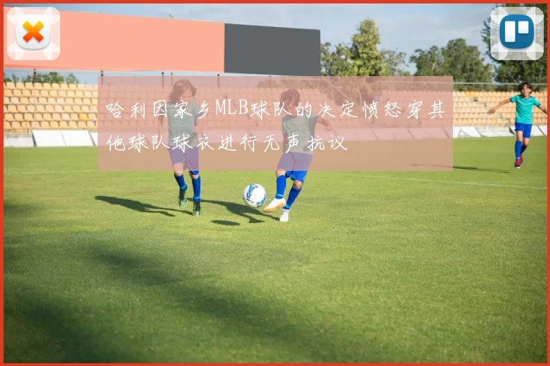 哈利因家乡MLB球队的决定愤怒穿其他球队球衣进行无声抗议