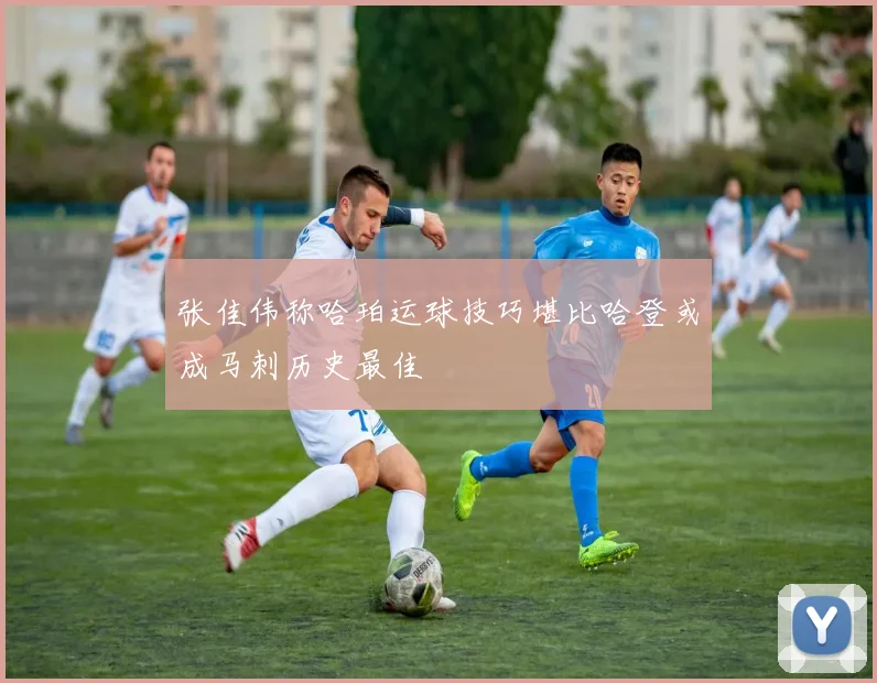 张佳伟称哈珀运球技巧堪比哈登或成马刺历史最佳