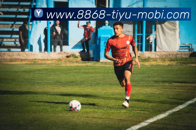 多媒体互动体验