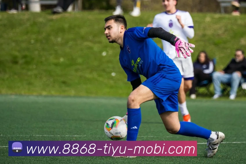 8868体育APP 高清赛事图